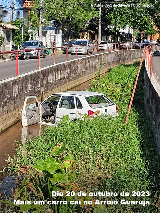 ✓ Jornal do Carro